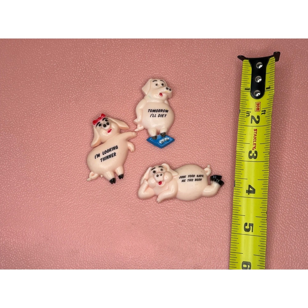 VTG Pig Refrigerator Magnet Lot of 3 Humor About Dieting - Picture 3 of 3
